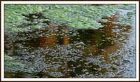 lake2646a
