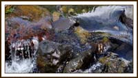 oakcreek3707web