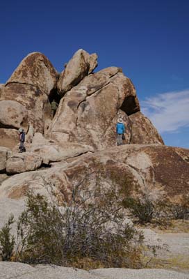 06a-rock-climber08365w