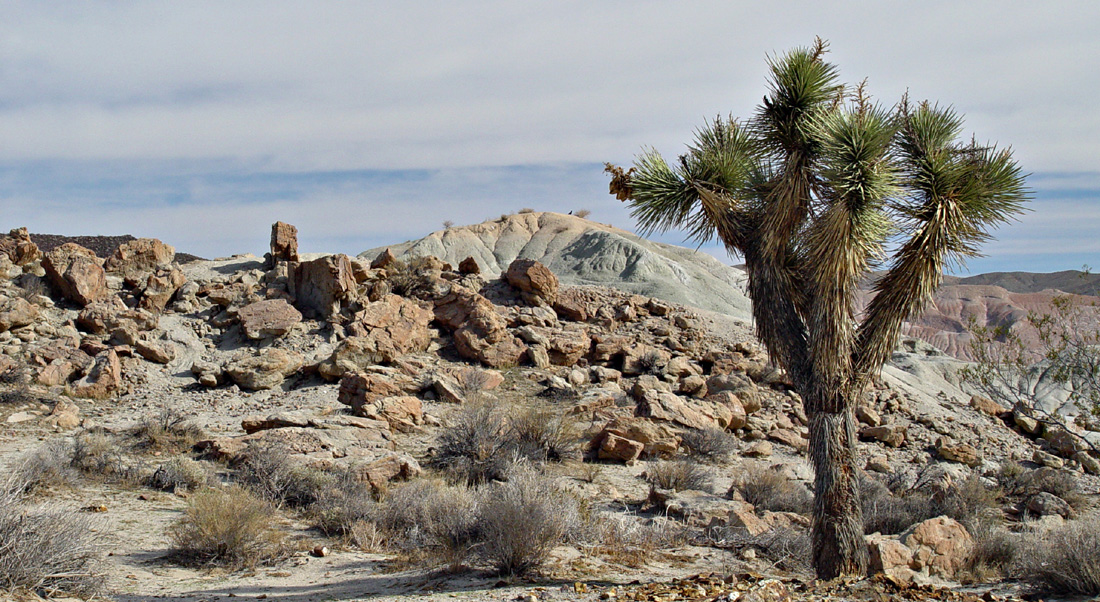 04redrock1541w