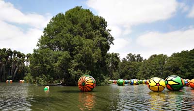 06art-float2445w