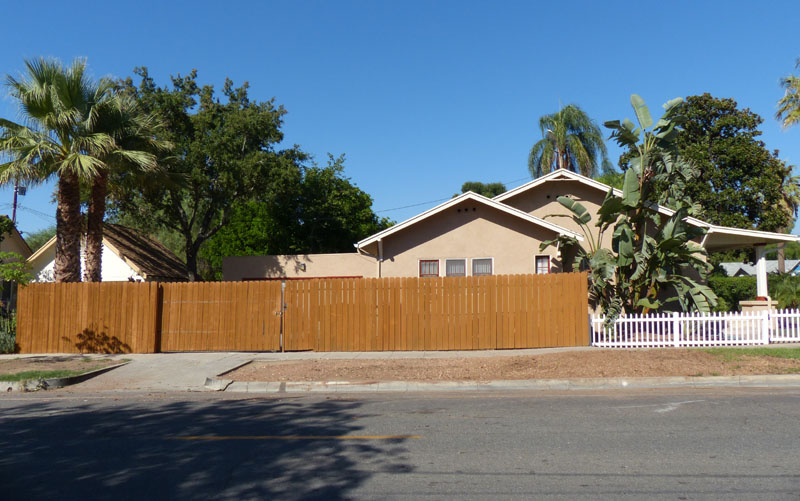 12-stump1080810w