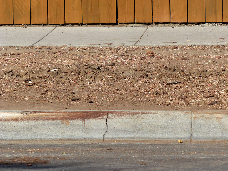 12-stump1080810w