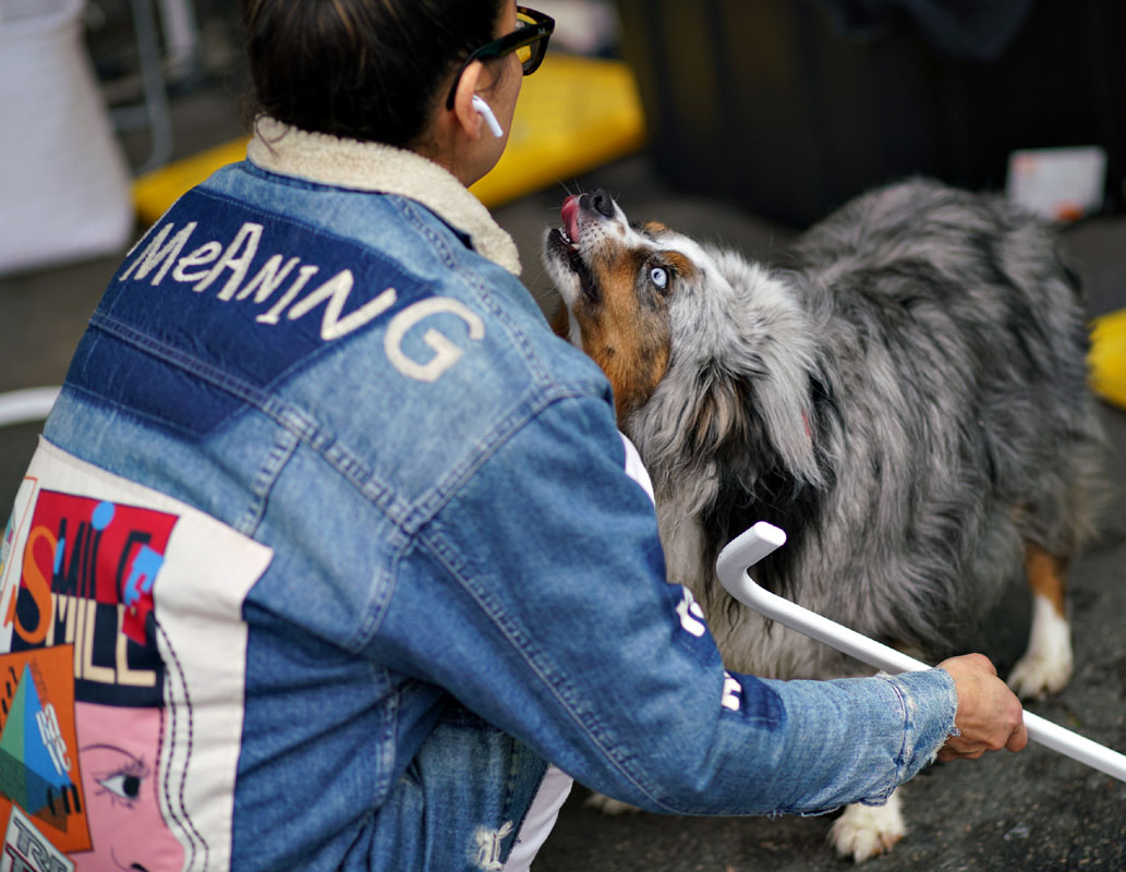 07lunar_dog8809w