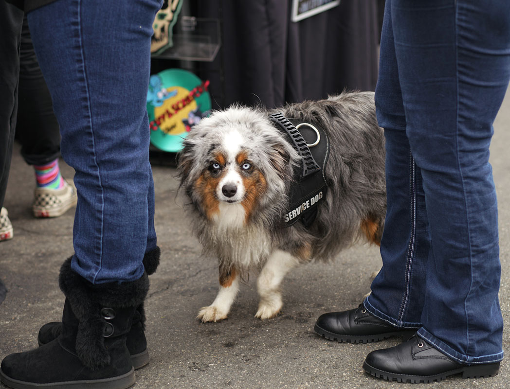 07lunar_dog8809w