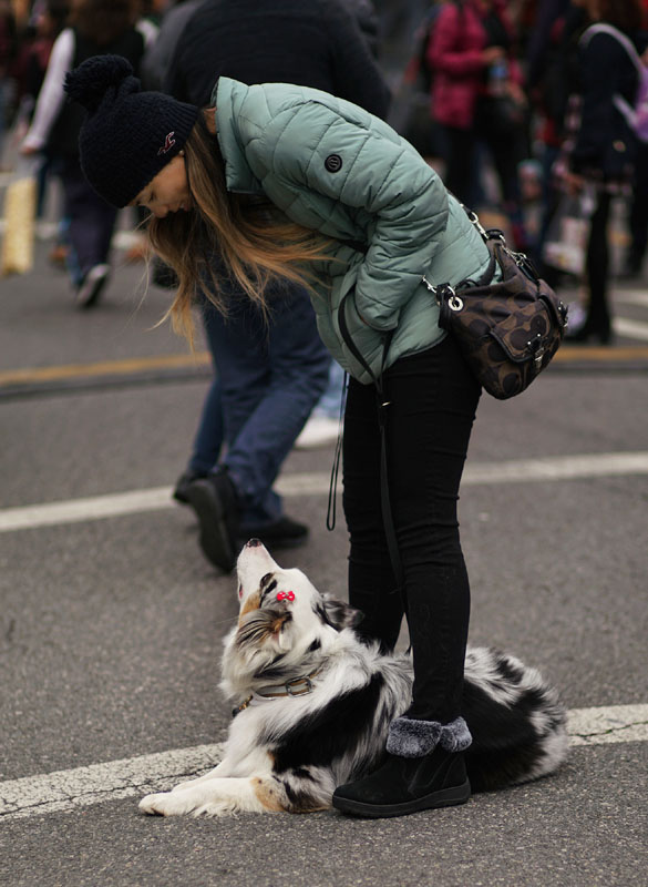 09lunar_dog9010w