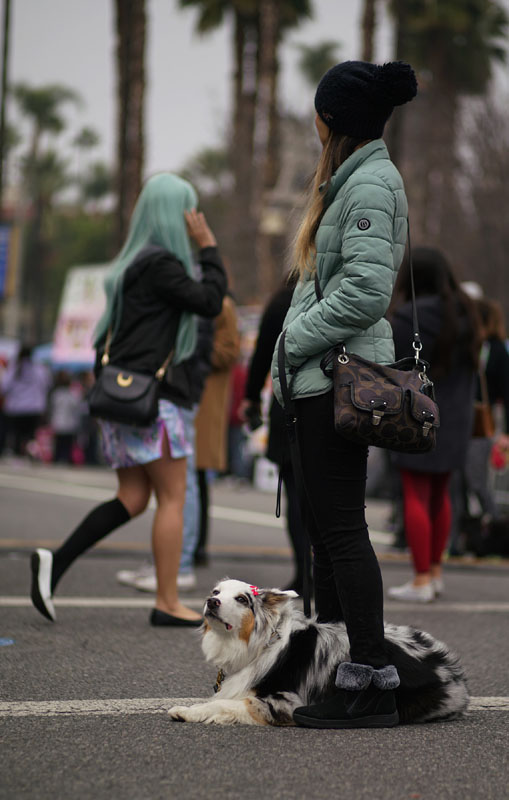09lunar_dog9010w