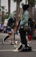 09lunar_dog9010w