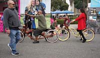 13lunar_peo-bike4338w