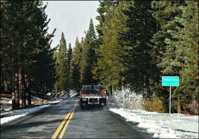 02ponderosa2736w