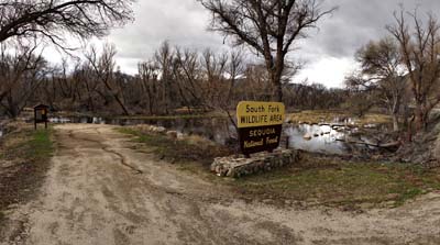 15south-fork-wildlife05957w