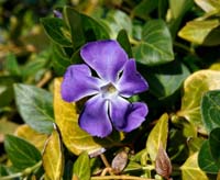 04blue0782w
